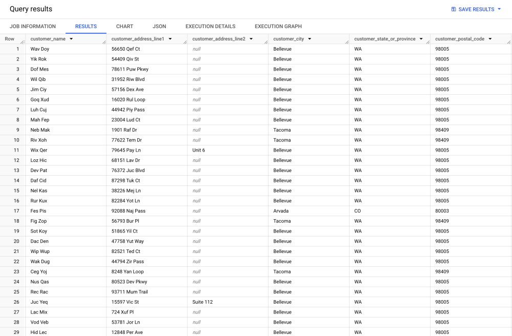 Fake PII Data